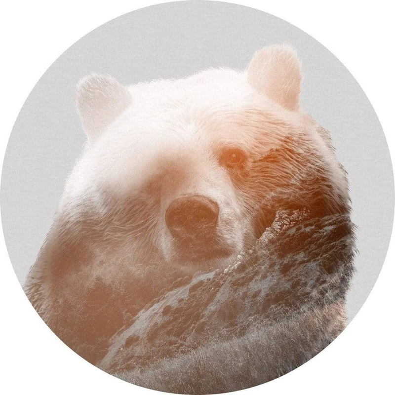 Komar D1-015 Dot, selbstblebende Vlies Fototapete Self-Adhesive and Round Photo Wallpaper, Colourful, Größe: 125 x 125 cm