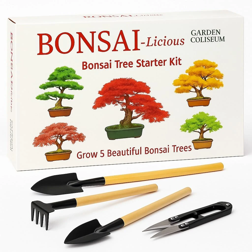 Bonsai Tree Kit - Grow Your Own Bonsai Tree Kit. Sustainable ECO Gardening Gift +Tool Set. Seed Germination Starter Kit with 6 Seed Species to Grow. Unique Gift Idea for men & women. Beginner friendly