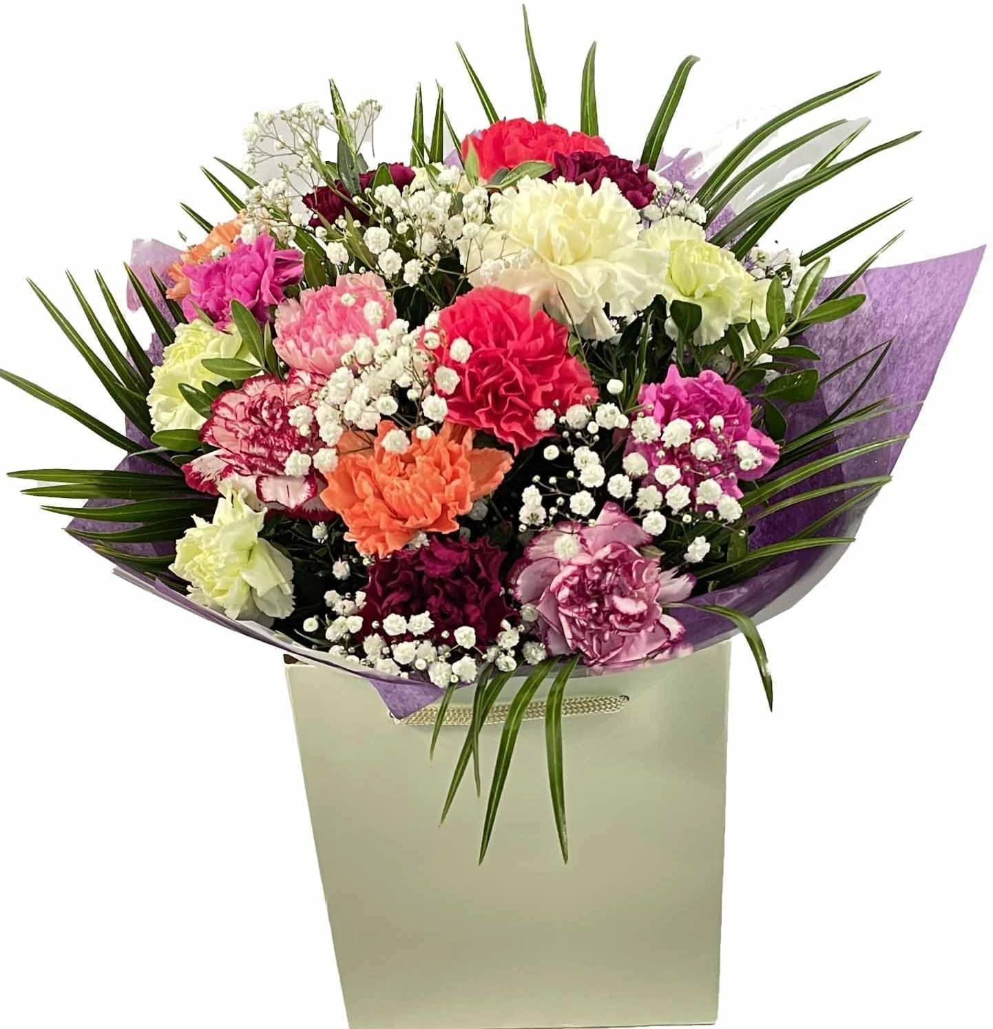 Life Is Bloom Fresh Flower Bouquet Of Mixed Carnations, Gypsophila in Gift Bag – Celebrating Summer Floral Arrangement for Birthdays, Get-Well, Wedding, Thank-You, Sympathy, event Party