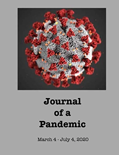 Journal of a Pandemic: Part 1: March 4 - July 4, 2020