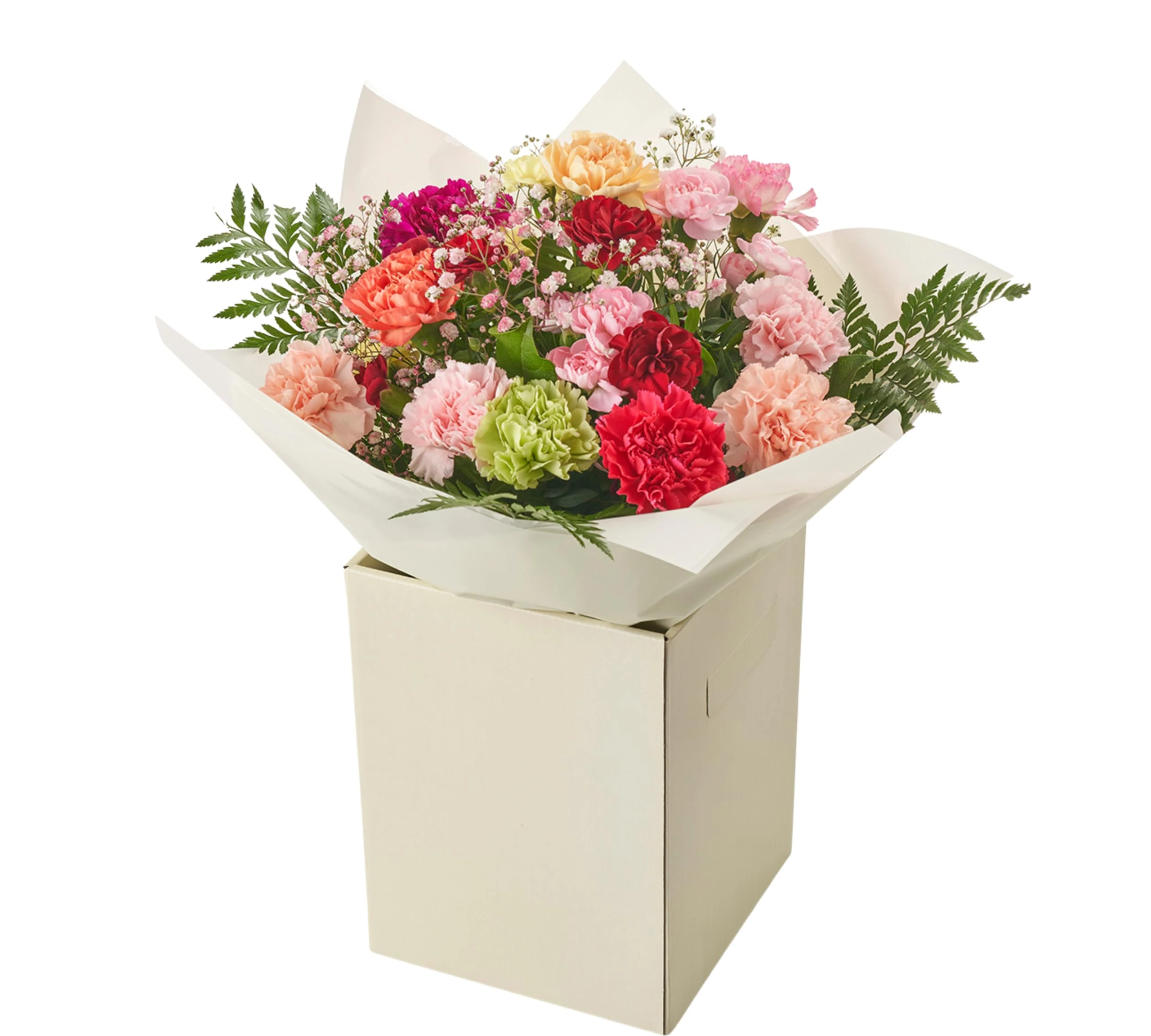 Simple Beauty Bouquet Fresh Flowers - Carnation Autumn Arrangement celebrating Birthdays, Get-Well, Anniversary, Thoughtful Gifting, Floral occasions, Long-Lasting Blooms