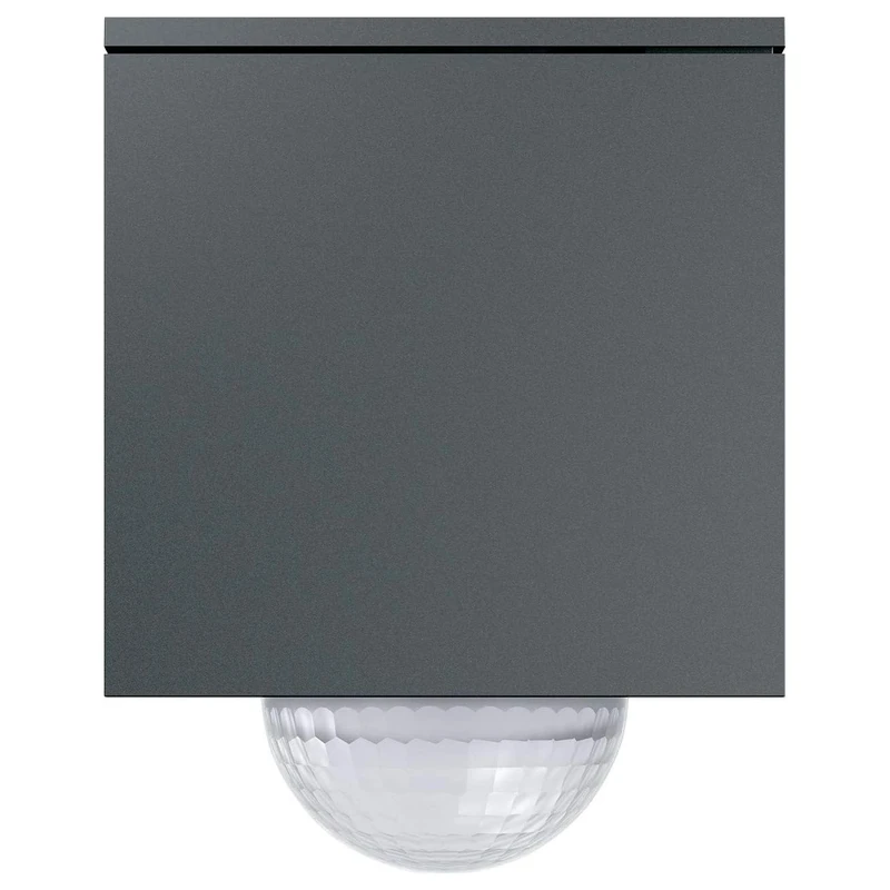 Wächter 240 GIRA 244410 Guardian Anthracite