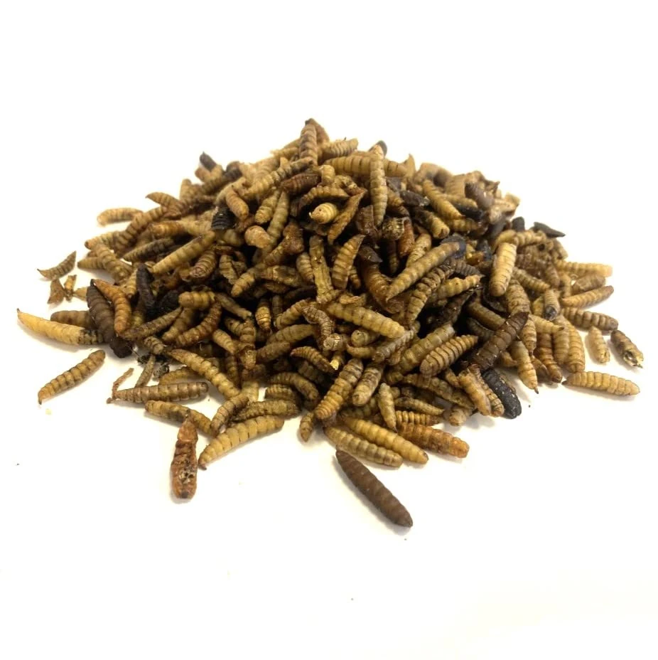 Dried Calciworms 10kg Premium Wild Bird & Hedgehog Food