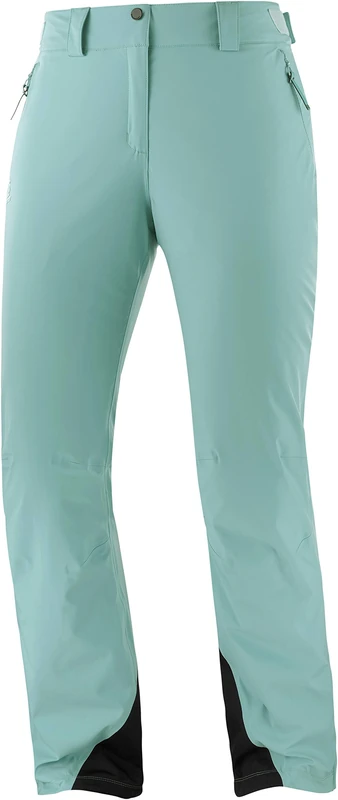 SALOMON The Brilliant Pant W Pant,Women, womens, Trouser, LC1394000, meadow brook, M/R