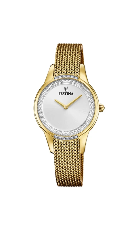 Festina Watch