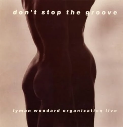 Don't Stop The Groove [VINYL]