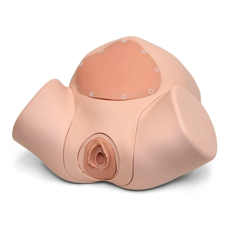 3B Scientific® Episiotomy & Suture Training Module – Light Skin Birthing Simulator Add-On for Perineal Repair & Suturing Practice - Image 1