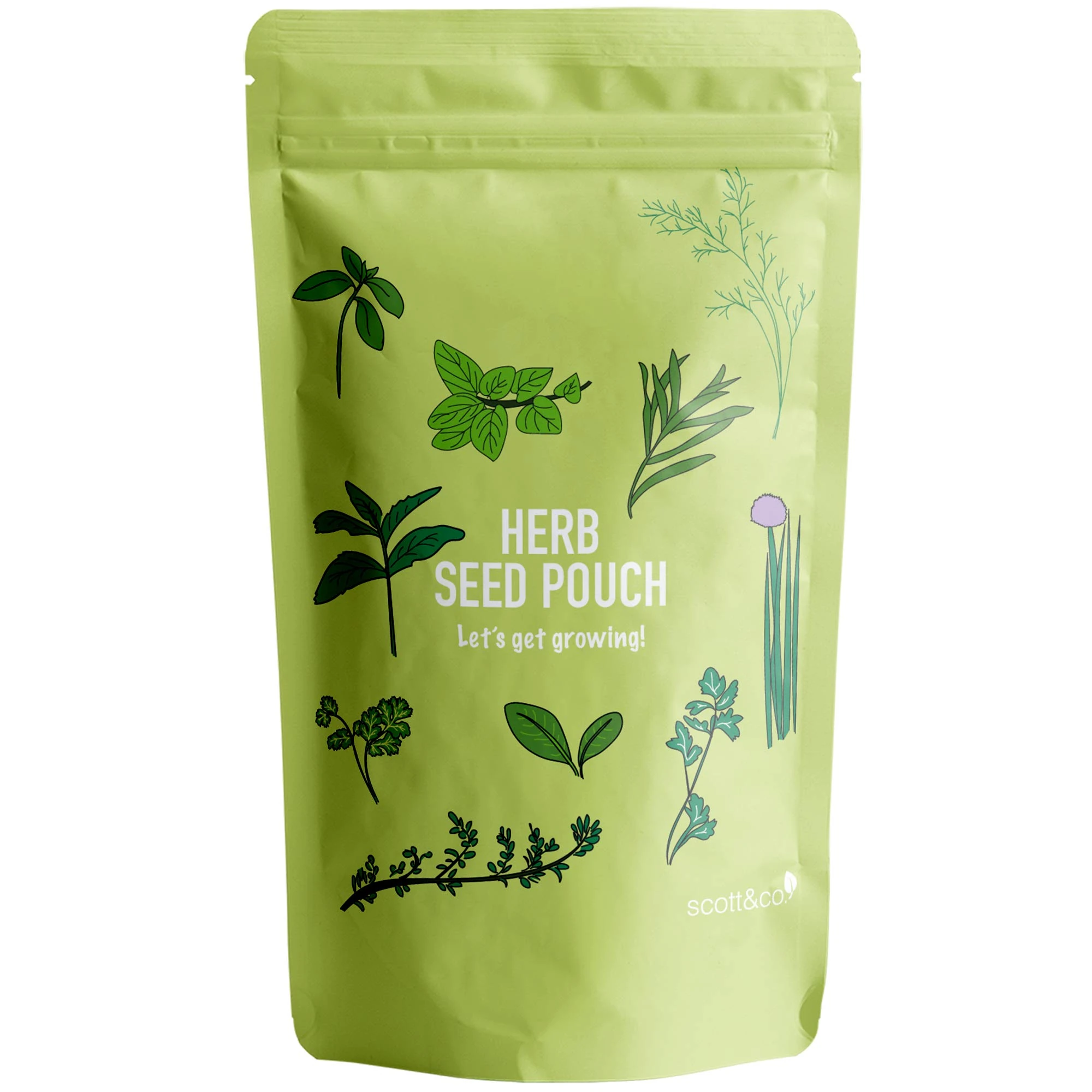 Scott&Co. Herb Seed Variety Pack, UK Planting, Basil, Chives, Parsley, Coriander, Thyme, Peppermint, Oregano, Sorrel, Tarragon, Dill Herb Seeds, Christmas Gifts for Women and Men