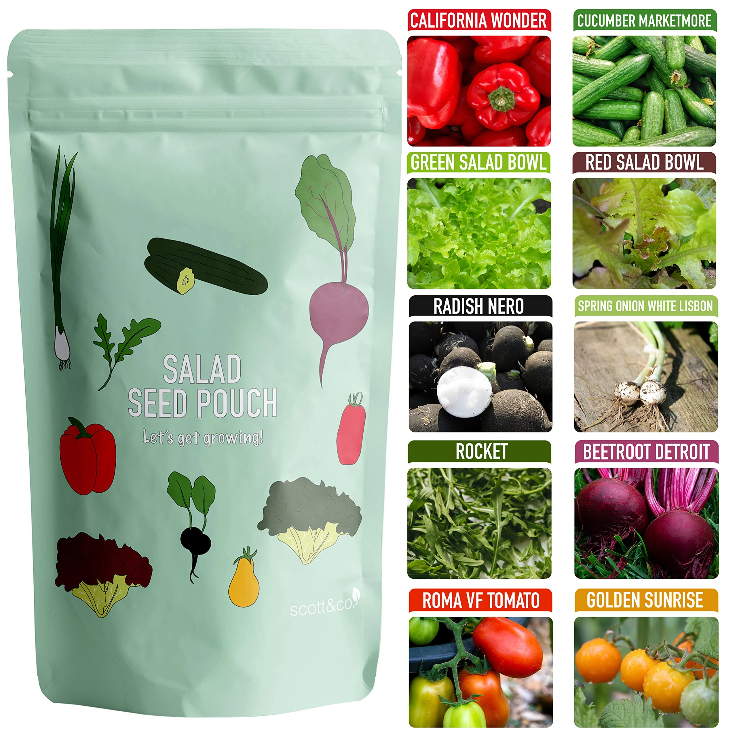Scott&Co. Salad Seed Variety Pack, UK Veg Planting, Beetroot, Tomato, Lettuce, Spring Onion, Radish, Cucumber, Rocket, Pepper Vegetable Seeds, Christmas Gifts for Men and Women