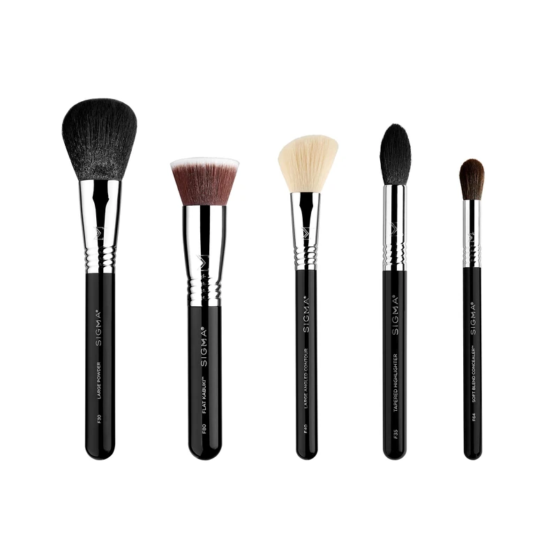 Sigma Beauty Makeup Brush Set – Set of 5 Classic Makeup Brushes for Full Face, Professional Makeup Brushes for Foundation, Concealer, Blush/Powder, Contour, and Highlight (5 pcs)