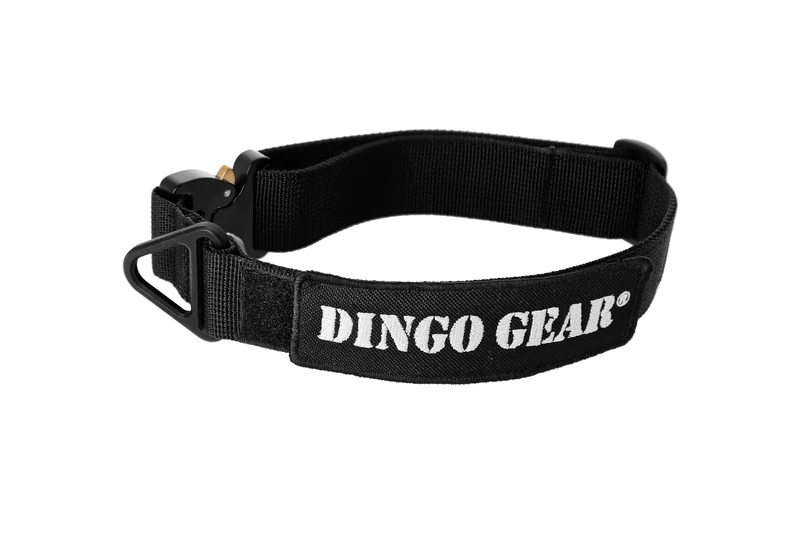 DINGO GEAR Cobra Dog Collar with Professional Safety Buckle, and Label Attached with Velcro-like Fastener, Reliable Collar for Defence Training, Special Tasks, Neck Girth 38-48 cm, Black (S04028)