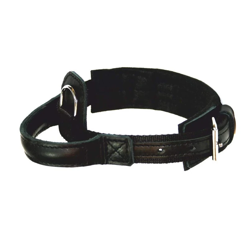 DINGO GEAR 1977 Hero Polypropylene Band Dog Collar Handmade Strong Handle Adjustable S04013, Black, 300 g