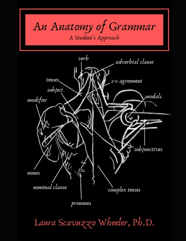 An Anatomy of Grammar: A Student's Approach