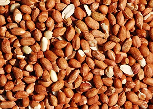 Bird Whole Peanuts - Quality Fresh Feed for Wild Birds Garden (10KG)