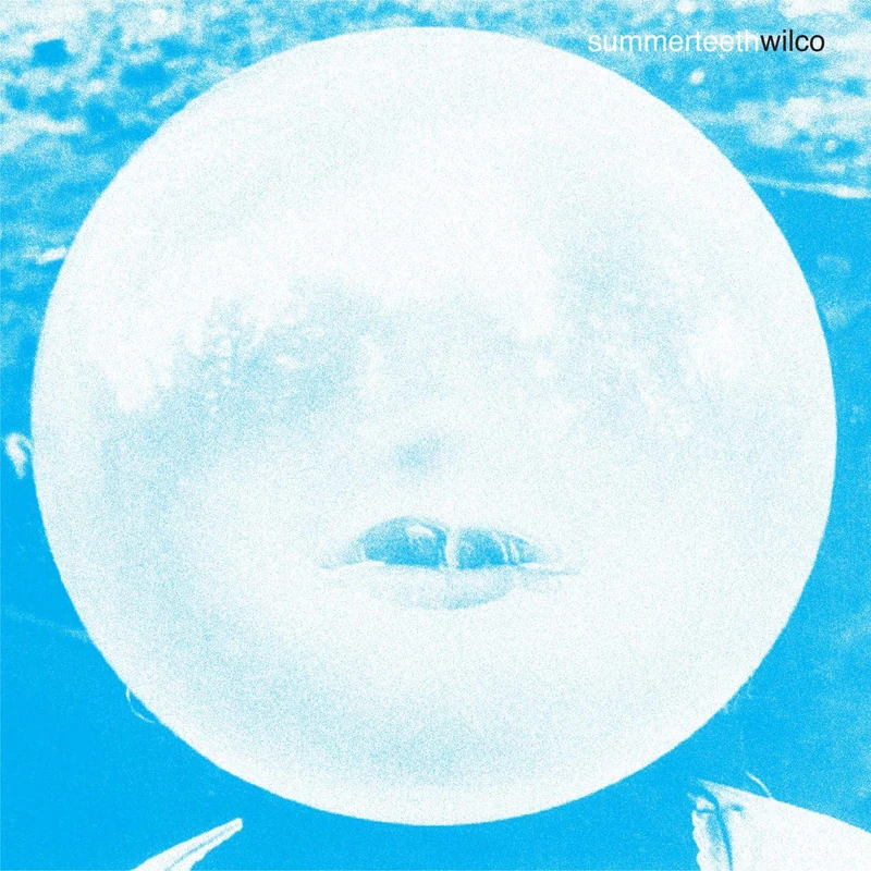 summerteeth (Deluxe Edition) [VINYL] - Image 1
