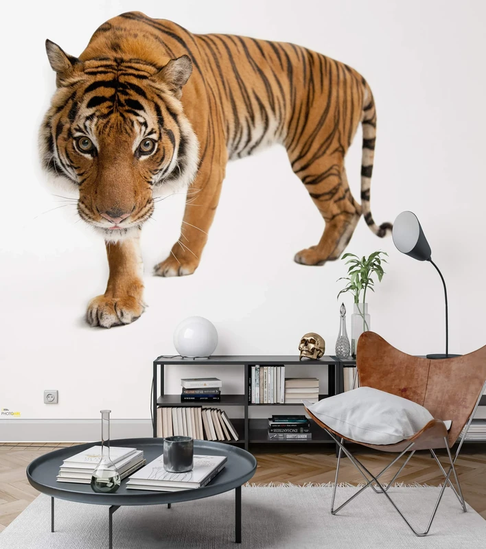 Komar NGX6-003 National Geographic Non-Woven Tiger Size 300 x 280 cm Wallpaper Wall Decoration Animal Portrait Animal Picture Living Room Photo Wallpaper Brown White Orange