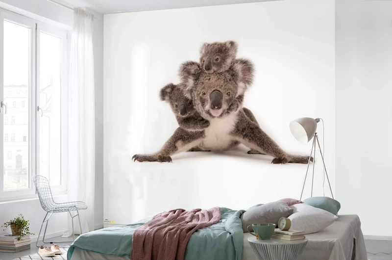 Komar NGX6-001 National Geographic Fleece Koala Size 300 x 280 cm Australia Bedroom Wallpaper Wall Decoration Animal Portrait Animal Picture Living Room Photo Wallpaper Brown White - Image 1