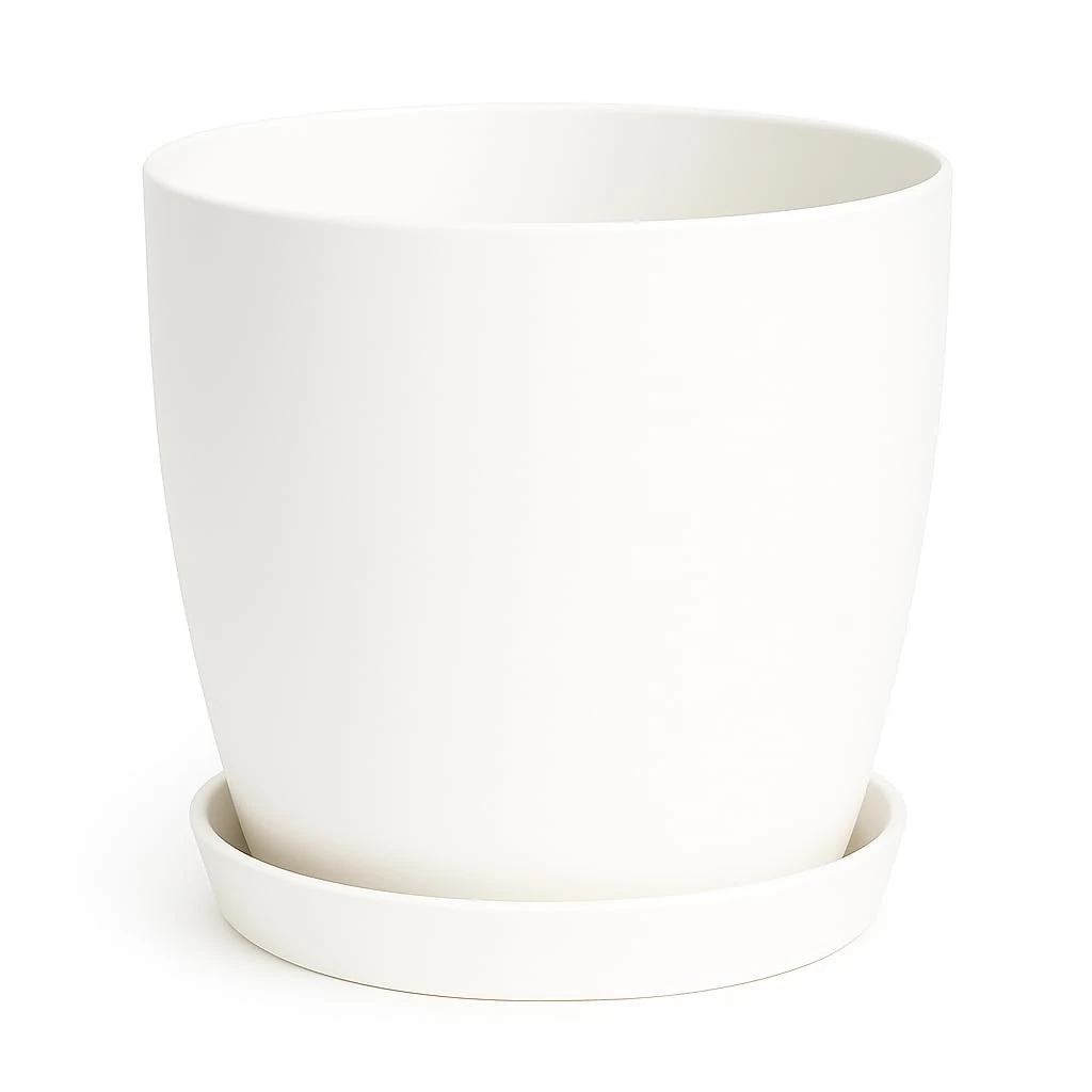 Home Garden Ornaments Plant Pots Indoor, Indoor Plant Pot - Decorative Flower Pots with Mat Surface and Plant Pot Saucer (Diameter: 20cm, Colour: White)