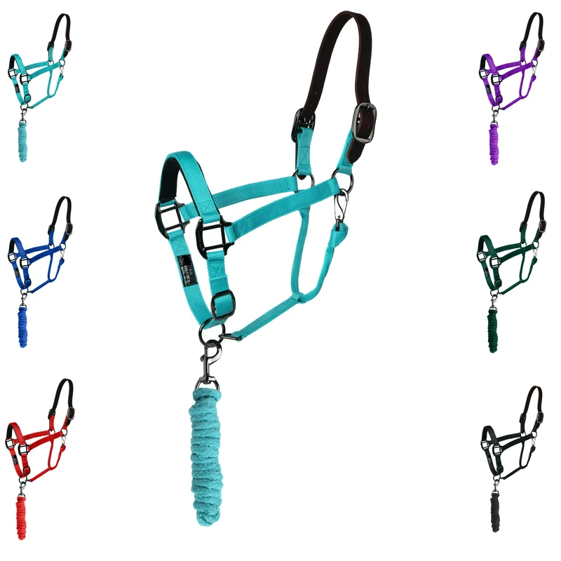 Majestic Ally Leather HeadCollar Halter with Matching Lead Rope for Horses – Leather Breakaway Crown – Rolled Throat Latch – Padded Noseband – Full (Turquoise-Black Nickel, Full)