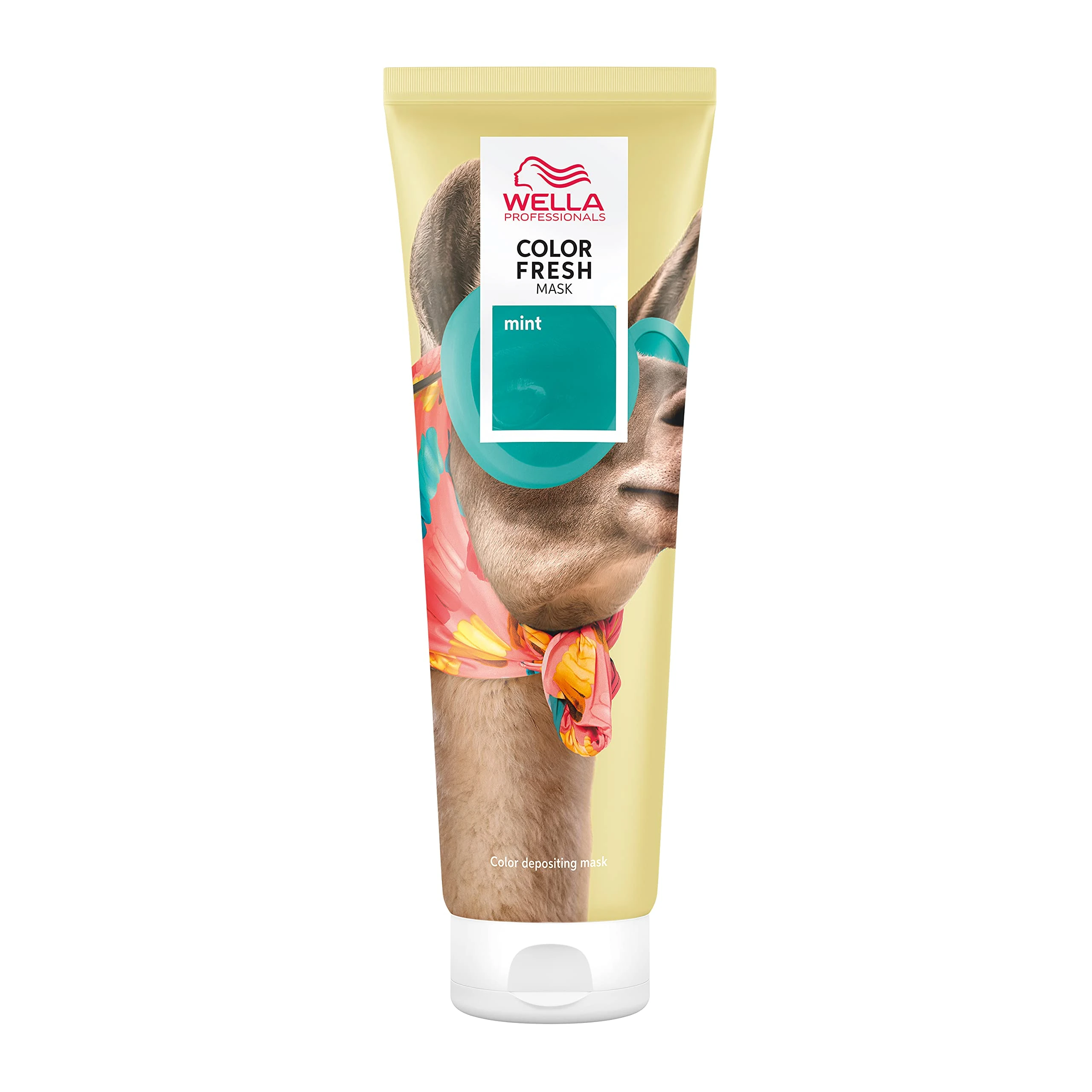 Wella Professional Color Fresh Mask | Temporary Color Refresh Treatment |Semi-Permanent Hair Dye | Wash Out Colour |150ml | Mint