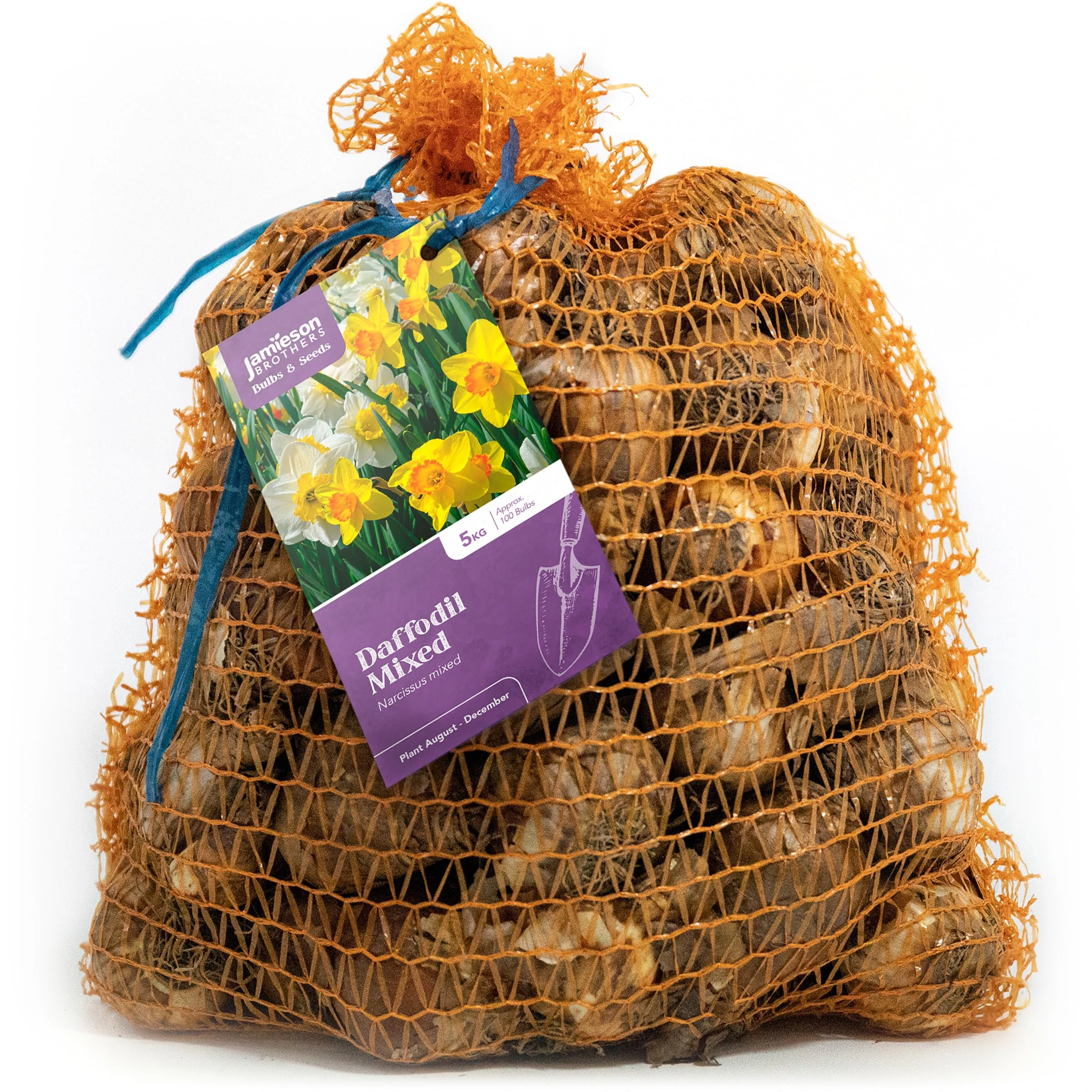 Mixed Variety Daffodil Bulbs 5kg – Large Sack Approx. 100 of Mixed Daffodils – Plant in UK Outdoor Autumn Gardens Now, Borders & Flowerbeds – by Jamieson Brothers