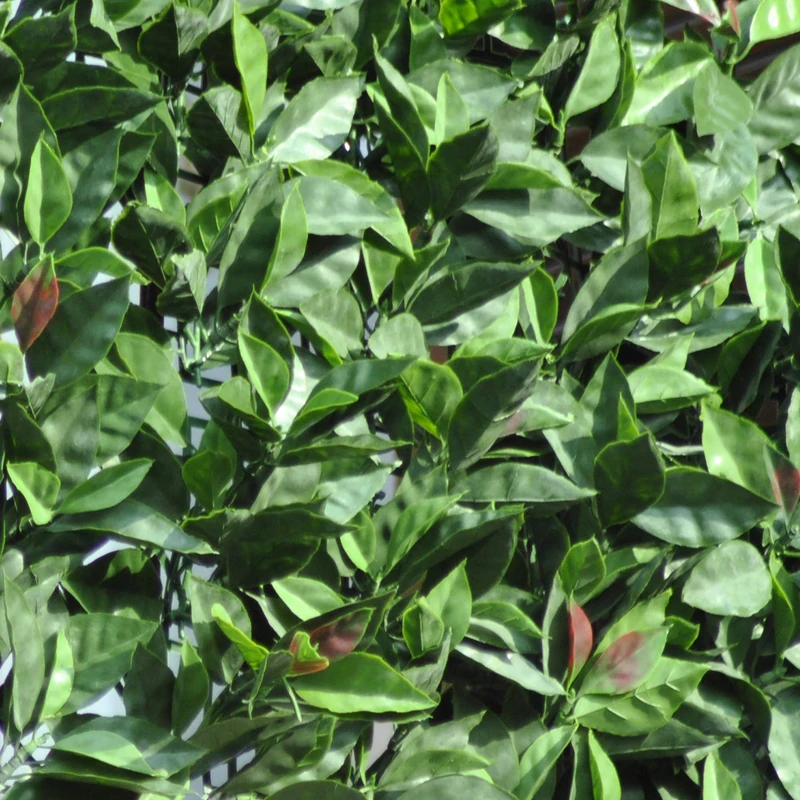 TENAX Divy 3D Plus Photinia, Synthetic Hedge 1.5 x 3 m Leaves Type Photinia on Plastic Mesh