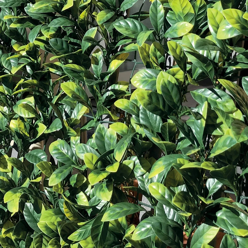 TENAX Divy 3D Plus Laurus, Synthetic Hedge 1.5x3m Leaves Type Laurus on Plastic Net