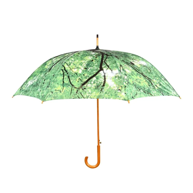 Umbrella Tree Canopy - Image 1