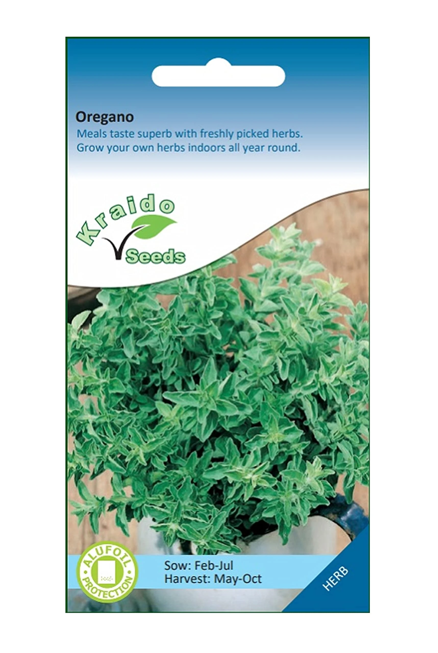 Oregano Herb 1500 Seeds Origanum Vulgare, Grow Your Own Herb Garden Indoors on a Windowsill or Outdoors in Pots and Containers