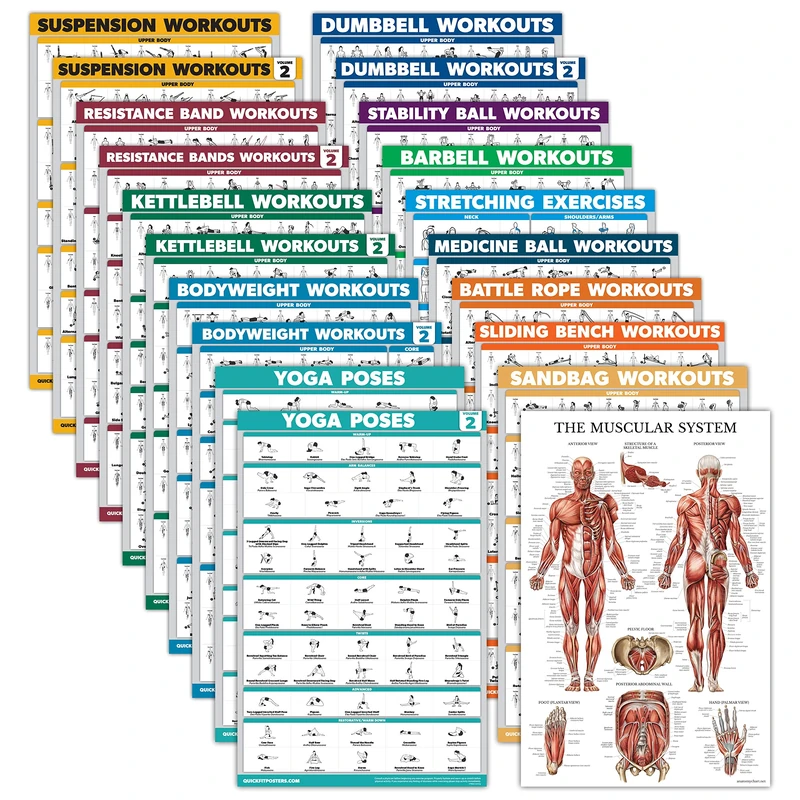 Palace Learning 20 Pack - Exercise Poster Set: Dumbbell, Suspension, Battle Rope, Stretching, Bodyweight, Barbell, Yoga, Exercise Ball, Muscular, Kettlebell, Resistance Bands (LAMINATED, 18" x 27")