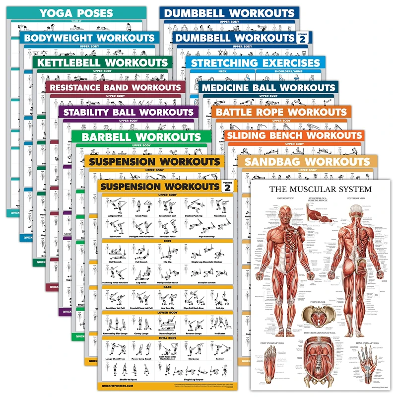 Palace Learning 16 Pack - Exercise Poster Set: Dumbbell, Suspension, Kettlebell, Resistance Bands, Medicine Ball, Battle Rope, Stretching, Bodyweight, Barbell, Yoga, Exercise Ball, Muscular