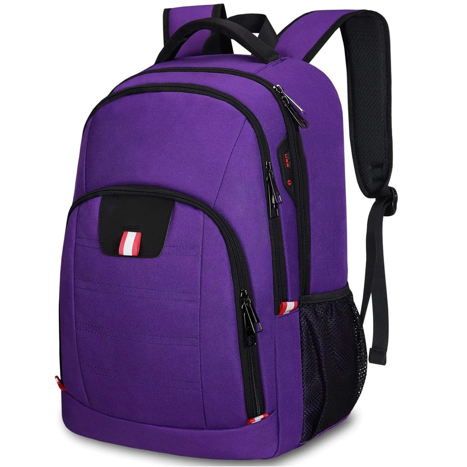 Travel Laptop Backpack, Small Backpack for Men and Women with USB Slit Business Computer Backpack Bag (Purple, 15.6 Inch)