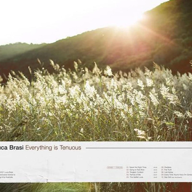 Everything Is Tenuous (Oxblood Vinyl) [VINYL]