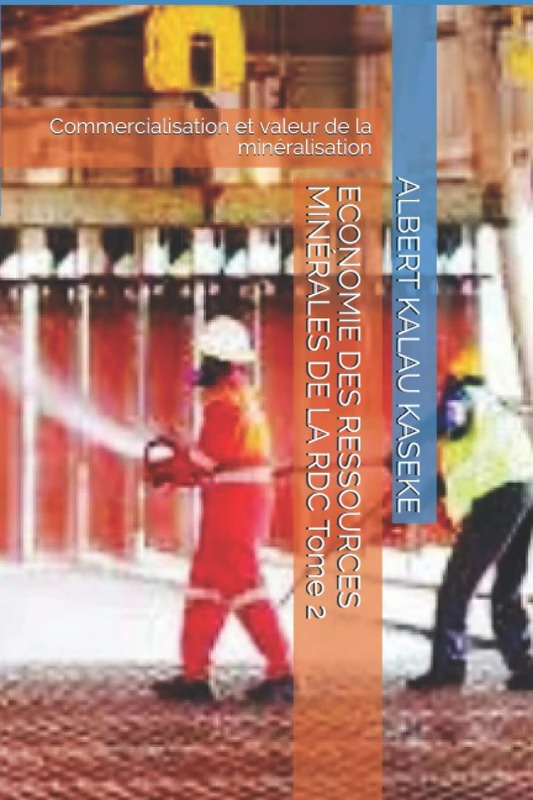 ECONOMIE DES RESSOURCES MINÉRALES DE LA RDC Tome 2: Commercialisation et valeur de la minéralisation - Image 1
