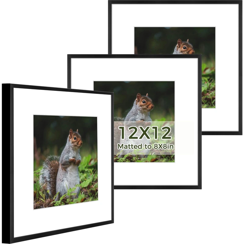 Golden State Art, Aluminium Photo Frame with Ivory Colour Mat for Pictures - Sawtooth Hangers, Spring Clips - Wall Mounting - Real Glass - Metal Frame (Black, 12 x 12 Frame, 3-Pack)