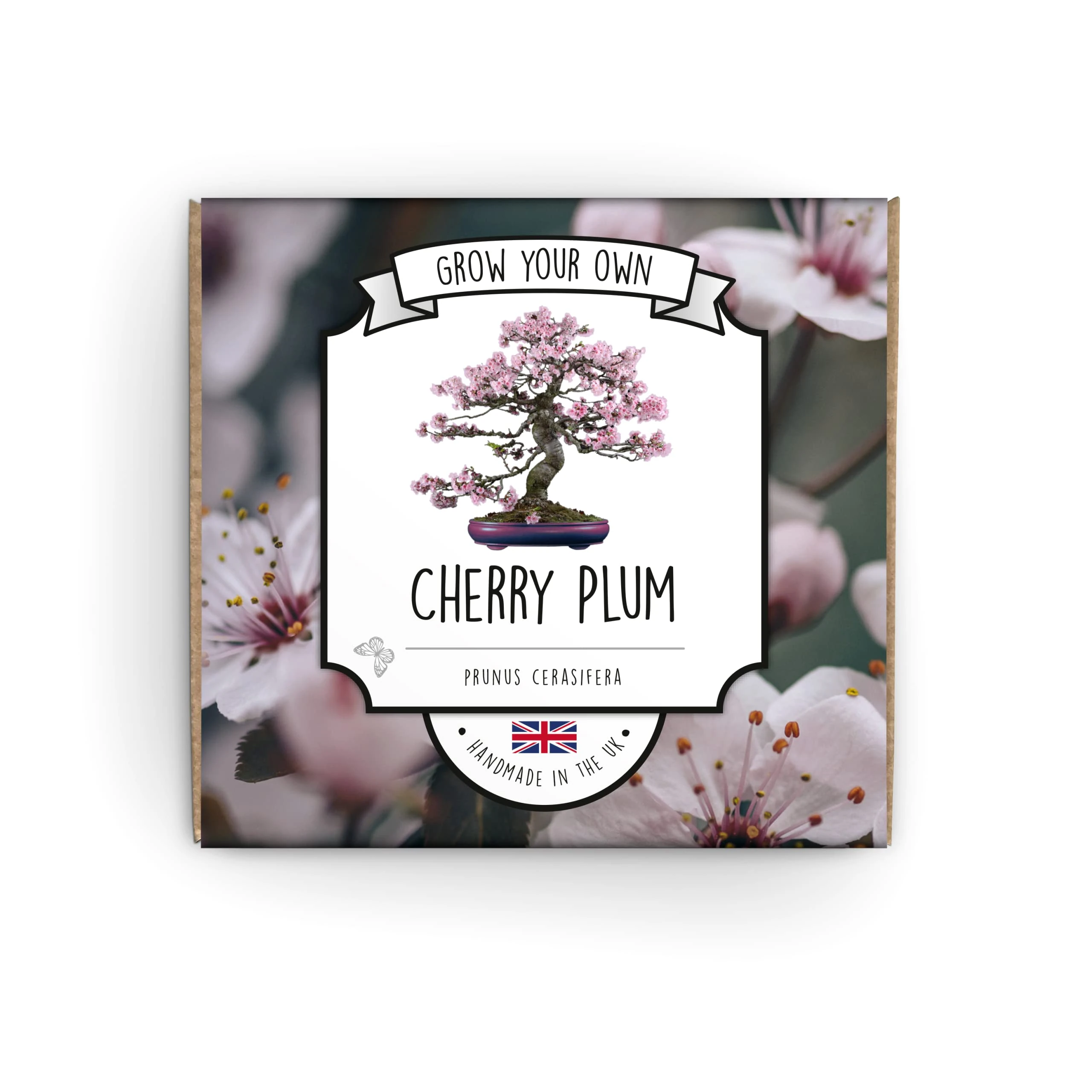 Grow Your Own Bonsai Tree Kit - Cherry Plum - Complete Beginner Starter Kit | Easy to Use Instructions | Handmade in UK | Gift for Any Ocassion | Gardening Gifts for Any Age | Crafts Hobby Kit