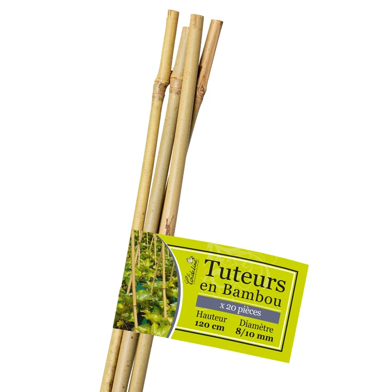 La Cordeline LTB120-20 Bamboo Supports, Natural - Image 1