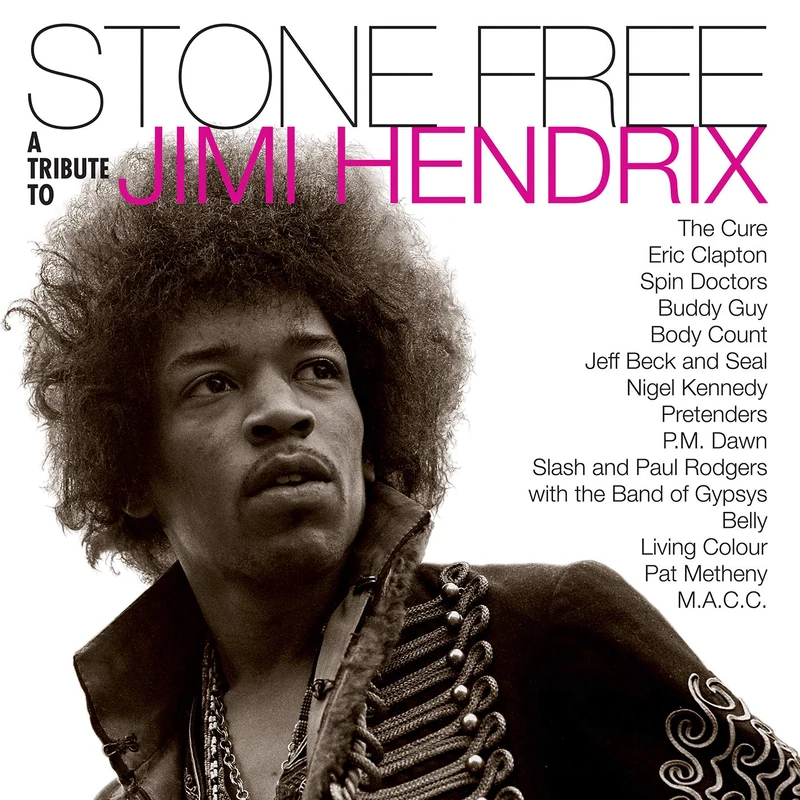 Stone Free:Jimi Hendrix Tribute [VINYL]