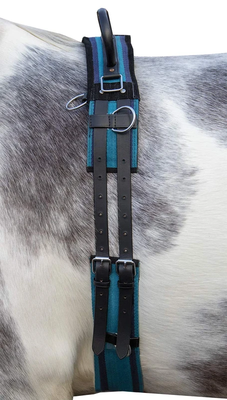 HKM 12701 Lunging Belt Canvas Fixed Double Handle Lunging Supplies Navy/Sky Blus Shetty