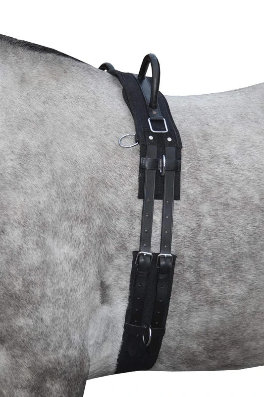 HKM 12701 Lunging Belt Canvas Fixed Double Handle Lunging Supplies Black Shetty