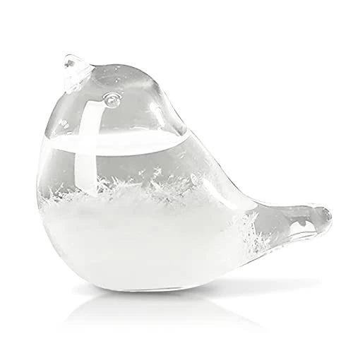 LTXDJ Storm Glass Weather Forecaster, Weather Station Bird Liquid Barometer Cute Creative Decorative Weather Predictor For Home Office, As Gift