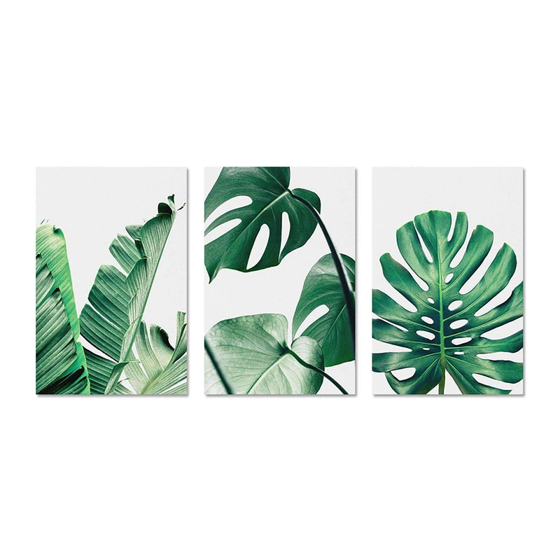 Dugast TYRE A.Dugast Rhino FD 33-28 XL Neo