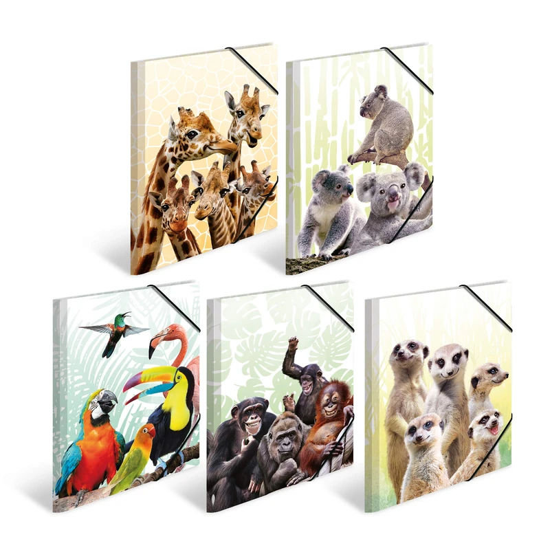 HERMA 19965 A3 Exotic Animals Plastic Folders - Pack of 10