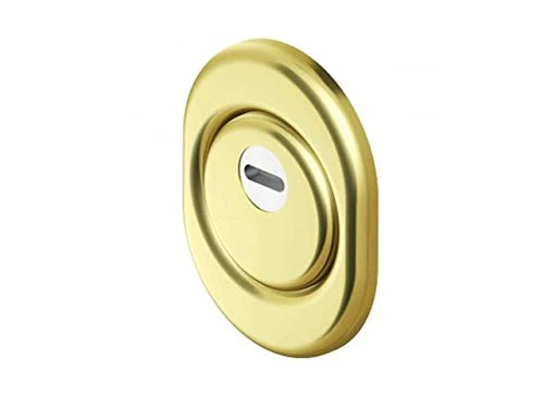 Disec Bd201 Defender Monolith Sf Polished Brass, 25mm