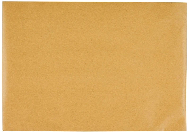 Blake Vita B5 Eco Cushion Recycled Kraft Padded Plastic-Free Paper Mailer (REPDB5) Pack of 100, 250 x 176 mm