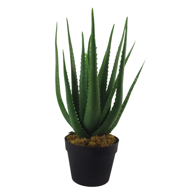Leaf 55cm Artificial Realistic Aloe Vera Succulent Plant