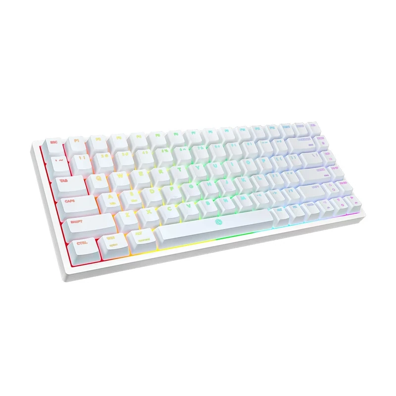 DREVO Gramr V2 TE 84 Key RGB Backlight Mechanical Gaming Keyboard Blue Switch TKL 75% USB Wired Keyboard US Layout