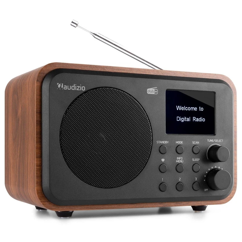 Audizio Milan Portable DAB Radio with Bluetooth and FM Radio, Rechargeable DAB+ Radio with Inbuilt Battery, TFT Colour Display, Headphone Jack and Line Out, Wood Finish