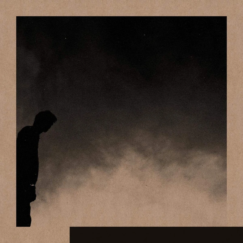 Felt The Transition [VINYL]