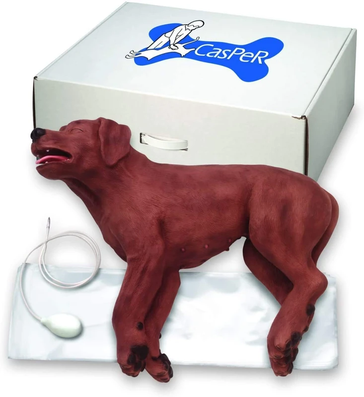 Simulaids 1020264 BLS Dog Casper The CPR Dog First Aid Veterinary Manikin - Image 1